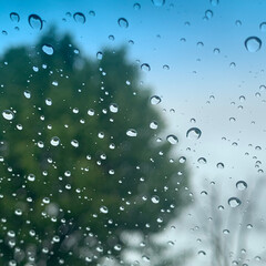 rain drops on window
