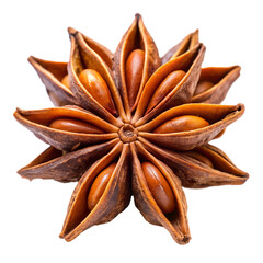 star anise isolated on white background