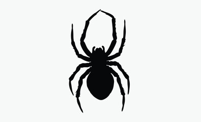 black spider silhouette, halloween decoration, creepy insect vector, Silhouettes of black spider, Halloween decorations, Vector collection of spider 