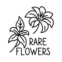 abstract flower logo