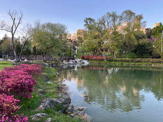 Beautiful lake park view in Istanbul, Turkey. 