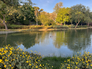 Beautiful lake park view in Istanbul, Turkey. 