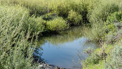 Scenic Strawberry Reservoir Landscape
