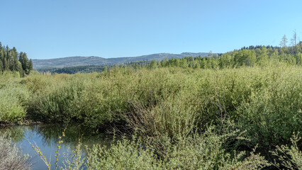 Scenic Strawberry Reservoir Landscape