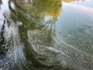 White pollen covering the lake surface.