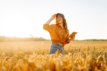 Young female farmer with digital tablet working in golden wheat field at sunset. Agronomist woman...