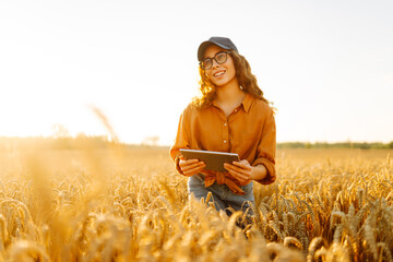 Young female farmer with digital tablet working in golden wheat field at sunset. Agronomist woman...