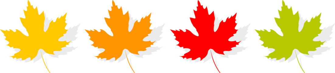 Set of maple leaves