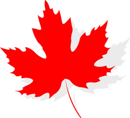 Red maple leaf, png