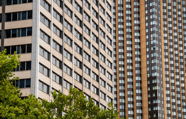 Isolated view of modern skyscraper architecture in Sydney Australia with an organic contrast of green tree foliage at the bottom of the frame_20101217_05051