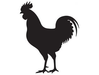 ROOSTER SILHOUETTE