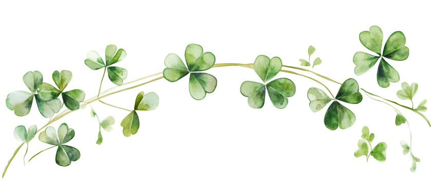 Watercolor Illustration of a Shamrock Vine, St. Patrick's Day Design Element