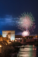 firework fuegos artificiales torre tower bridge city landscape