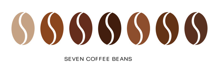 Seven Coffee Beans in a Row with Different Shades of Brown from Light to Dark on a White Background for Graphic Design