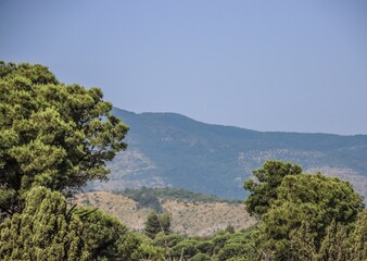 Scatti Vari