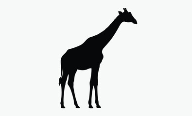 Giraffe silhouette drawing, hand drawn animal vector