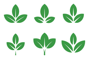 Set of Six Green Leaf Vector Illustrations on a White Background for Nature Ecology and Organic Concepts