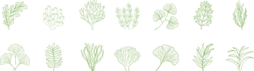 Green Botanical Herb Vector Set – Hand-Drawn Leaf Illustrations Featuring Organic Shapes, Ideal for Natural Product Labels, Eco Designs, Wellness Branding, and Botanical Graphic Projects