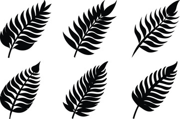 Obraz premium Fern Leaf Silhouette Vector Pack