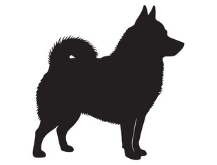 SCHIPPERKE DOG SILHOUETTE