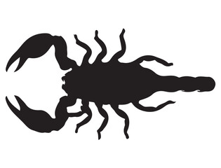SCORPION SILHOUETTE
