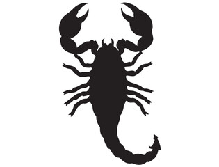 SCORPION SILHOUETTE
