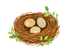 Birds nest with 3 eggs, branches and leaves. Vector illustration isolated on white background
