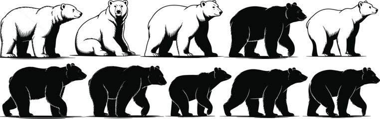 Dynamic Bear Silhouettes Collection, Featuring Grizzly, Polar, and Black Bears in Various Poses, Perfect for Wildlife and Nature Designs