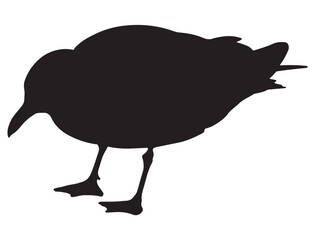 SEA GULL SILHOUETTE