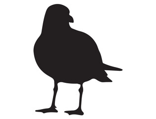SEA GULL SILHOUETTE