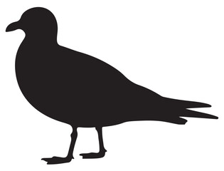 SEA GULL SILHOUETTE