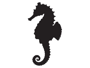 SEAHORSE SILHOUETTE