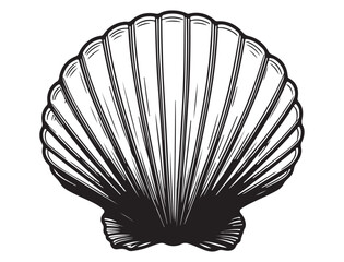 SEASHELL SILHOUETTE 