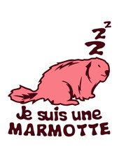 je suis une marmotte animal expression humour