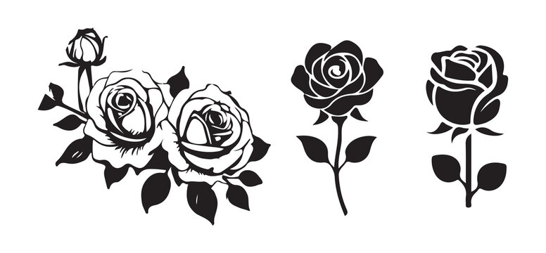 Roses design elements,modern isolated rose flower on a stem with leaves in black and white. vector illustration eps 10.