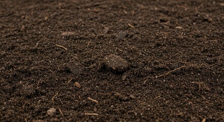 Dark brown soil texture, rich with small stones and fine roots