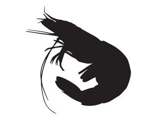 SHRIMP SILHOUETTE