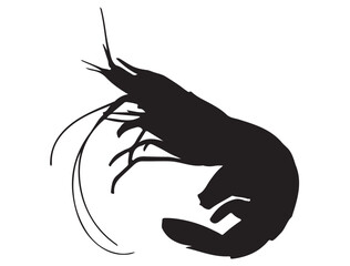 SHRIMP SILHOUETTE
