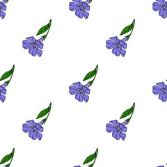 Seamless vector pattern of delicate periwinkle flowers with green leaves, arranged in a repeating design on a white background, ideal for textile prints or digital designs.