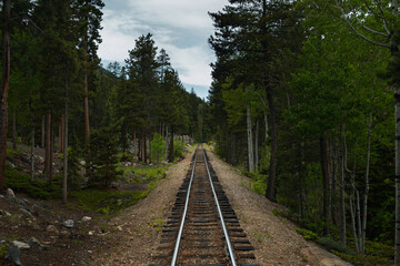 Obraz premium railway in the forest