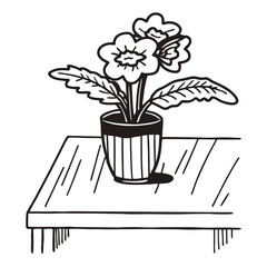 vector pot plants modern interior decor