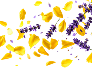 Hyper-realistic floating petals of lavender bunch, bright yellow, transparent background
