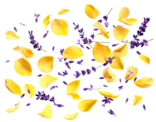  Hyper-realistic floating petals of lavender bunch, bright yellow, transparent background