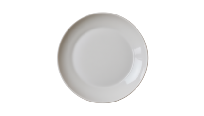 the primary subject is a round, light colored plate. it has a slightly raised lip circling around the inner part of the plate, creating a shallow bowl area