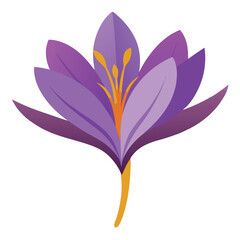 saffron herb flower vector illustration