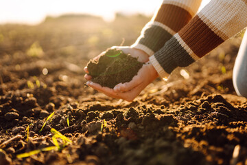 A young female agronomist holds fertile soil in a sunset field. A female farmer checks the quality...