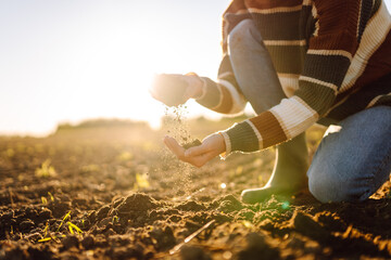 A young female agronomist holds fertile soil in a sunset field. A female farmer checks the quality...