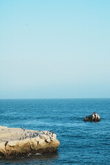 sea and rocks