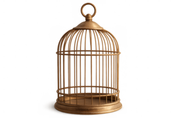 Golden birdcage standing on a transparent background, symbolizing freedom, captivity, hope, and limitations