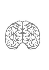 cerveau cervelle face